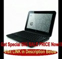 SPECIAL DISCOUNT HP Mini 210-1010NR 10.1-Inch Black Netbook - 4.25 Hours of Battery Life