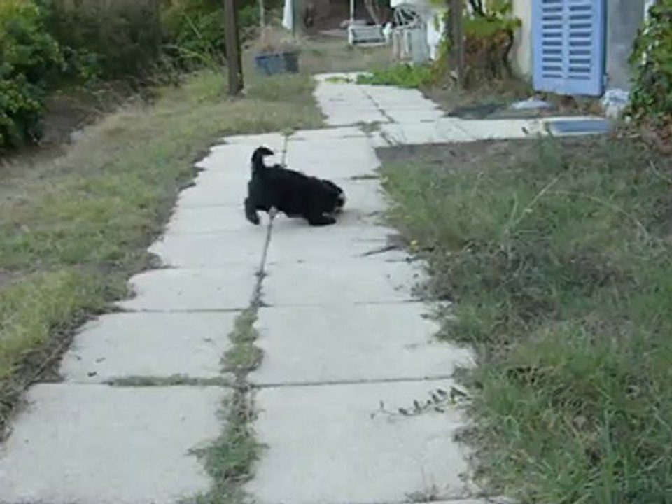 Poupie joue au ballon !