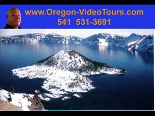 It's a Jungle out there in Business marketing