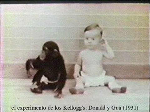 Origenes de la musica y el lenguaje 3 de 4 - Prof Manuel Lafarga