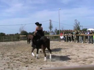Prestation pour la fête du cheval à terres et eaux calais