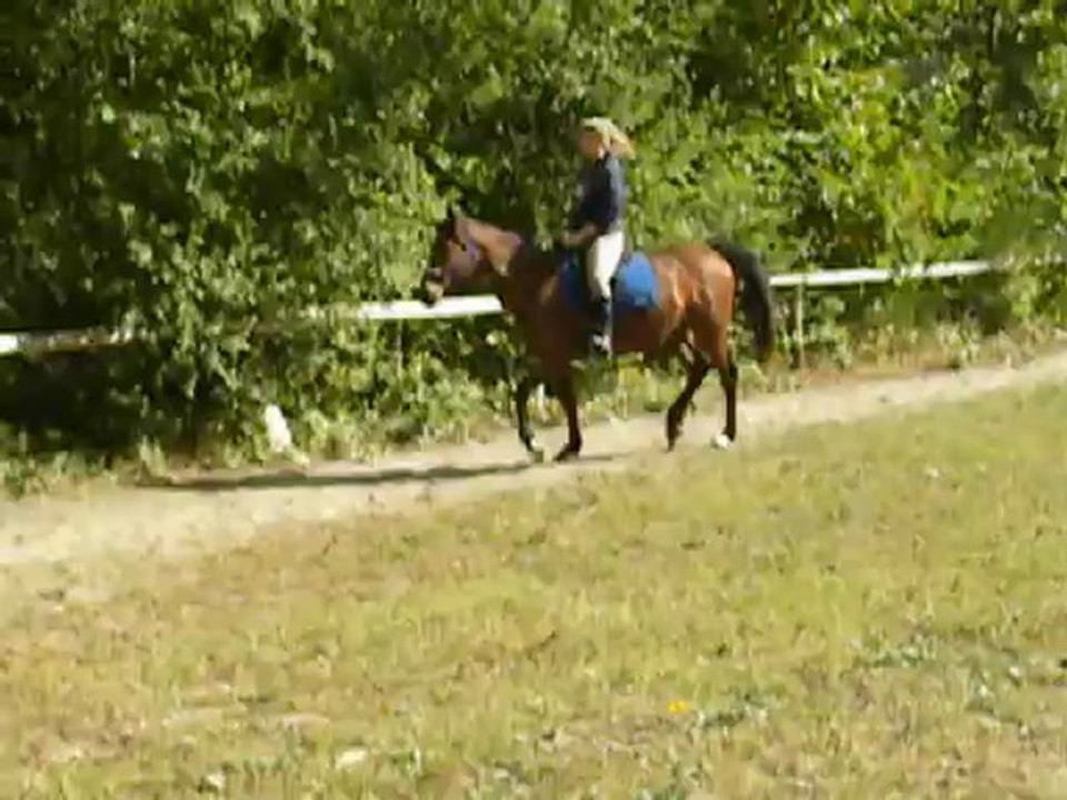Seance du 22.09.12