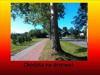 Lekcja muzyki-parodia Gustaw ma limo i włos