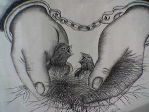 CaTLAKLaRSesLi.CoM Ahmet Emre Boran Gülüm