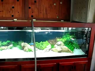 sửa máy vi tính tại nhà tphcm 0909915411