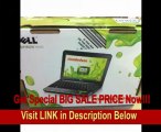BEST BUY Dell Mini Nicklodeon Edition 1.6GHz Atom N270 1GB 160GB Intel Graphics 950 WebCam 10.1 Win Xp Home IM10-3067SWH
