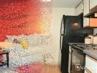 Cameron Creek Homes Apartments in Tempe, AZ - ForRent.com