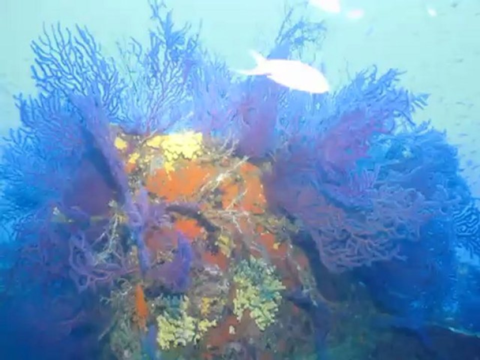 Epave du Togo - 1/2 - Cavalaire le 2" septembre 2012