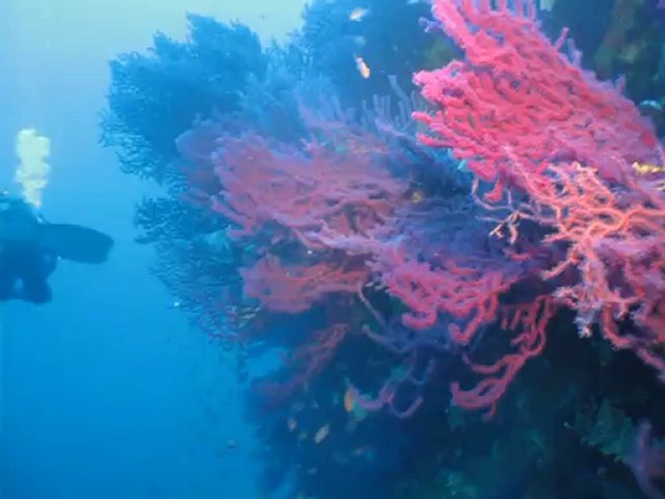 Epave du Togo - 2/2 - Cavalaire le 23 septembre 2012