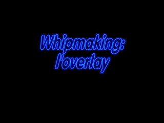 Docwhip: l'overlay d'un fouet en cuir tressé