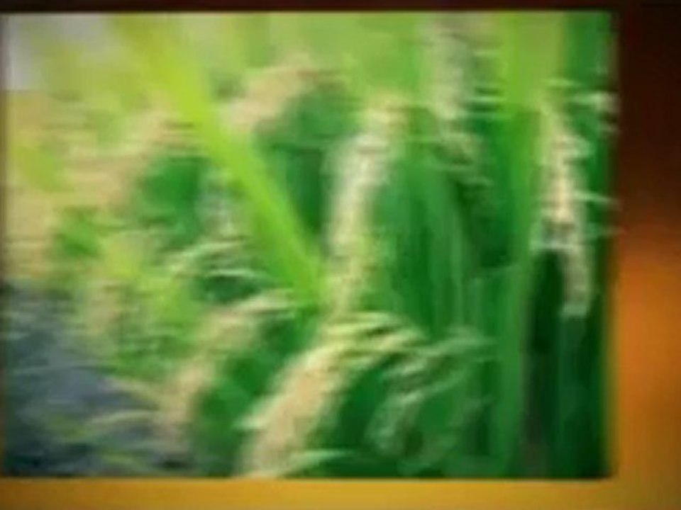 Agriculture Investment