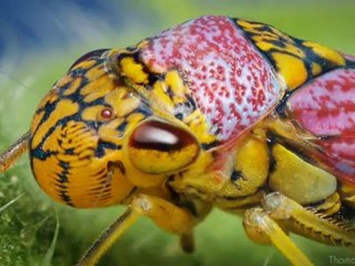 Doğa Ortamında Fotoğraf Çekmek