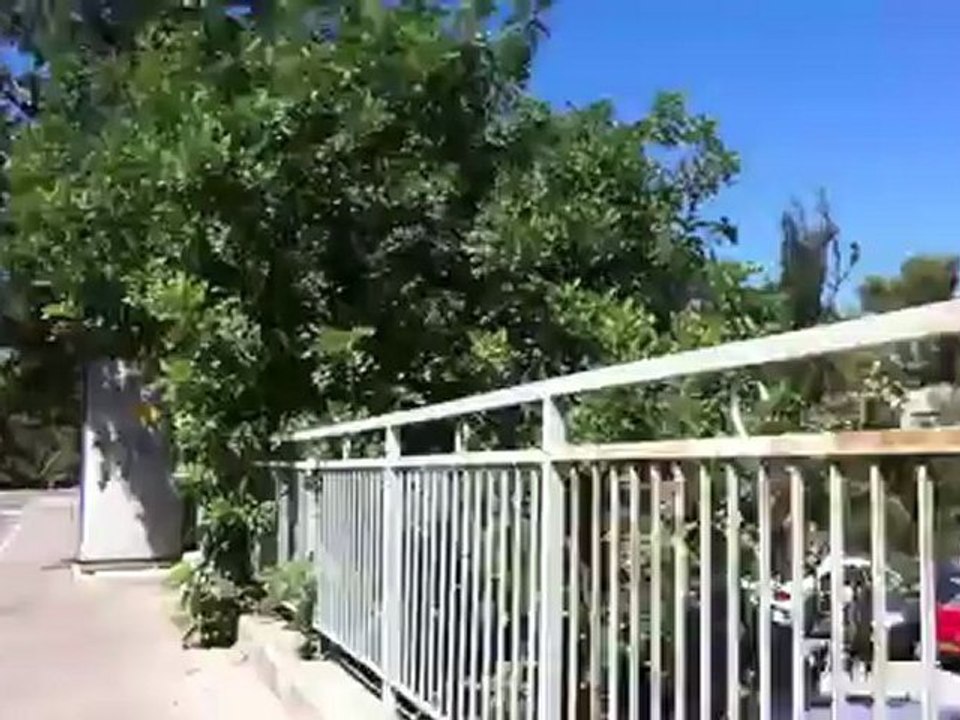 IMG 9669