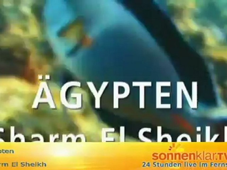 Desti Sharm El Sheikh mit Sprecher