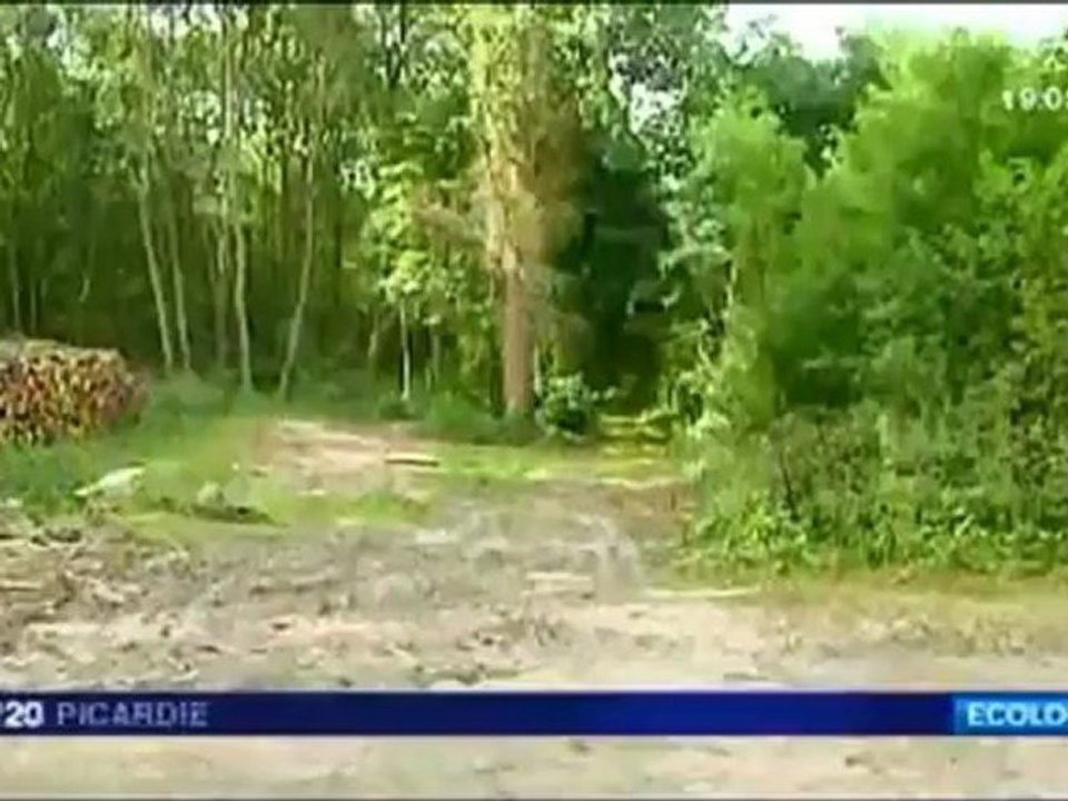 Reportage sur le projet de décharge au Bois-du-Roi (Oise)