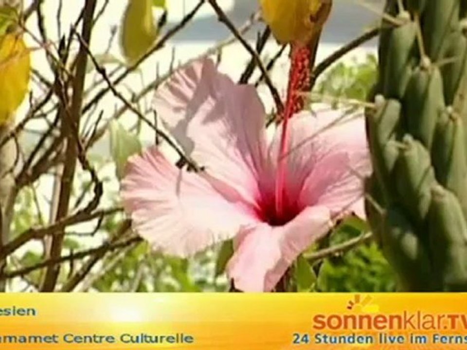 Tipp Hammamet Centre Culturelle