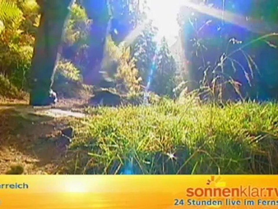 Tirol allgemein Sommer 4