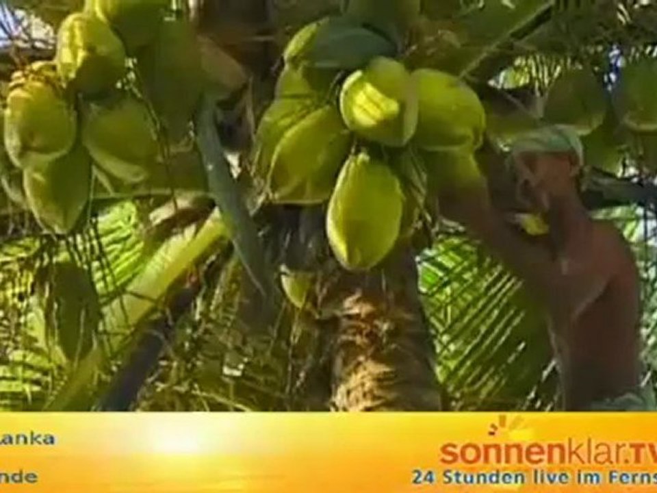 Sri Lanka Tipp Strände