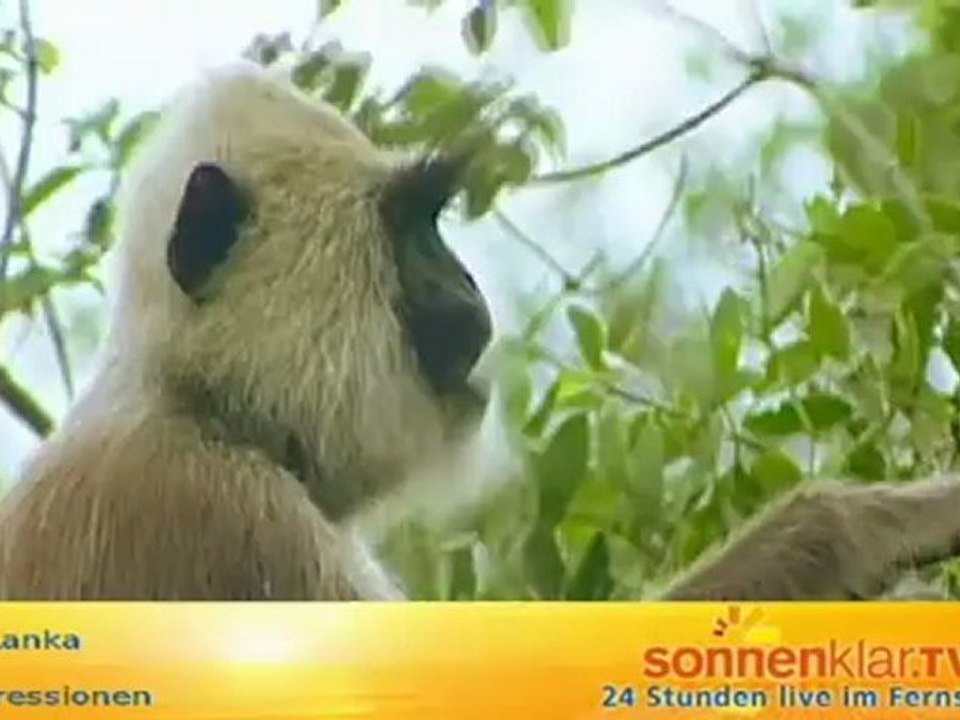 Sri Lanka allgemein 3