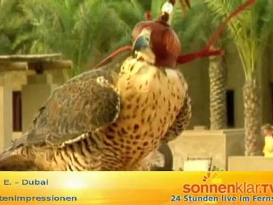 Desti Dubai (Wüste)