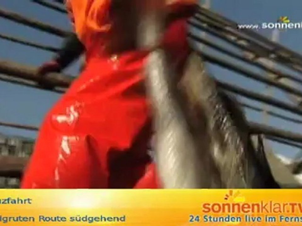 Hurtigruten Route südgehend Winter