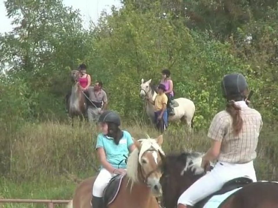 Journée du Cheval