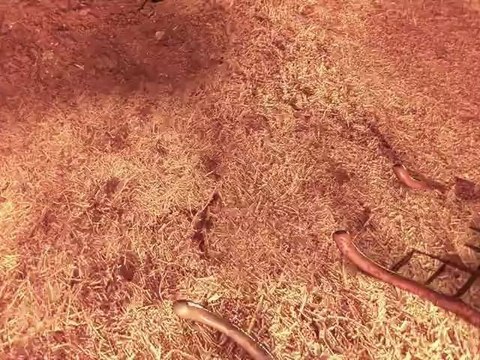 CLOCKWORKS 3D STUDIO X-Road 3Ds max / Photoshop / Fumefx / After Effect -HD