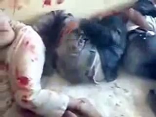 مسرب شبيحة الاسد تعذب المعتقلين بشكل وحشي و طائفي