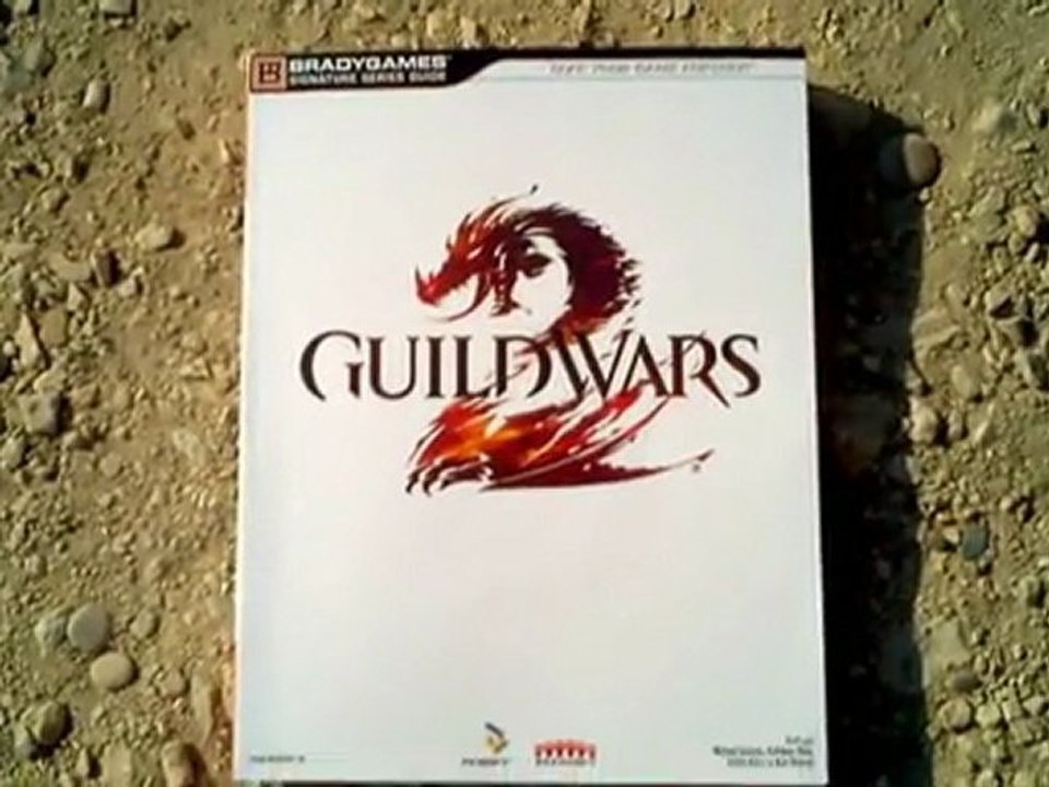 (Book Test) Guide Guild Wars 2 BradyGames