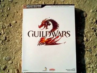 (Book Test) Guide Guild Wars 2 BradyGames