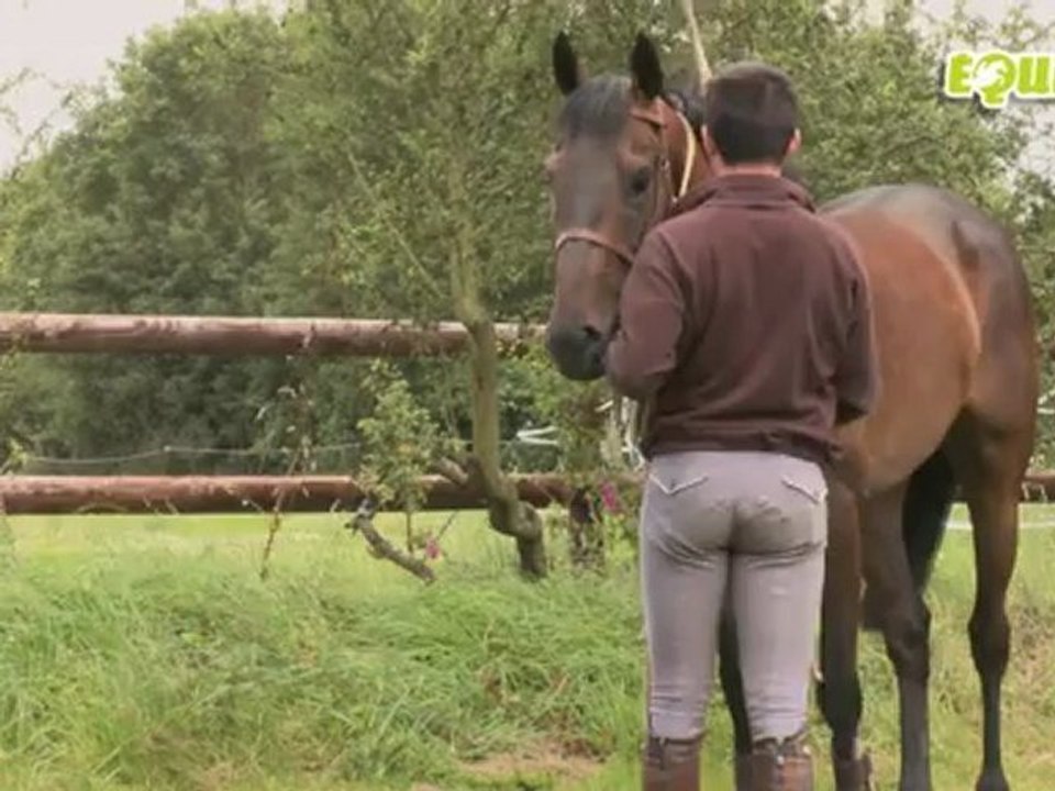 Equitv : L'écurie de la seconde chance