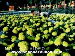 PURNIMA BANGLA CINEMA