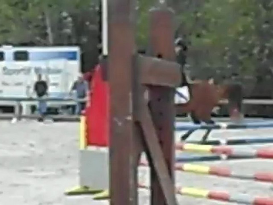 Quicksilver d'Allez et moi - CSO Torcy Club 2 -23/09/12