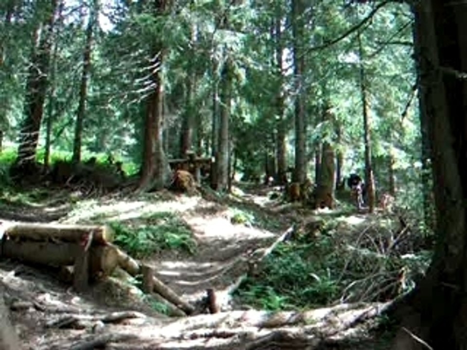 step up/ step down chatel