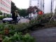 Fort coup de vent dans le Pas-de-Calais : un arbre tombe sur une voiture