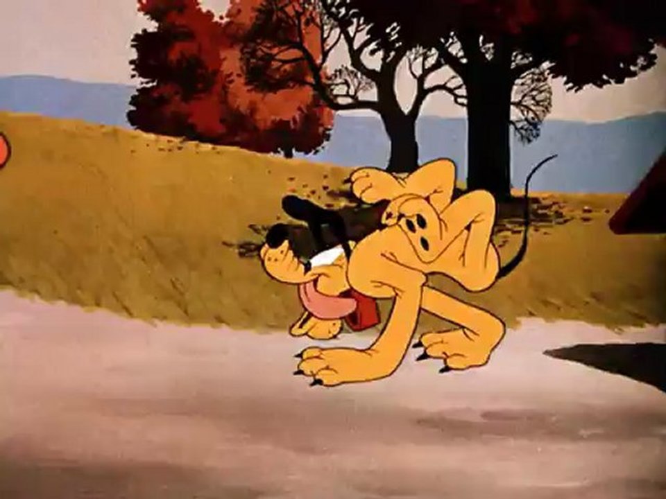 chip end dale -4