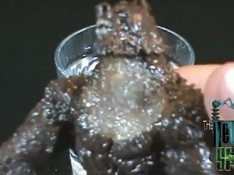 Spooky Spot - Van Helsing Monster Slayer The Wolf Man