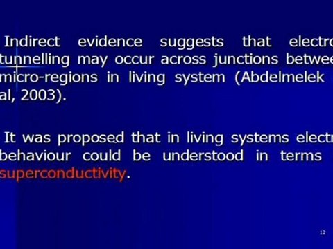 2008 Propiedades electricas de los nervios ciaticos (1/2) , Cursos Verano