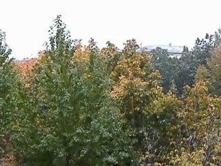 Осенний дождь