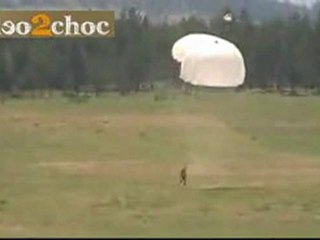 Video2choc.com - Le Rodolphe du jour