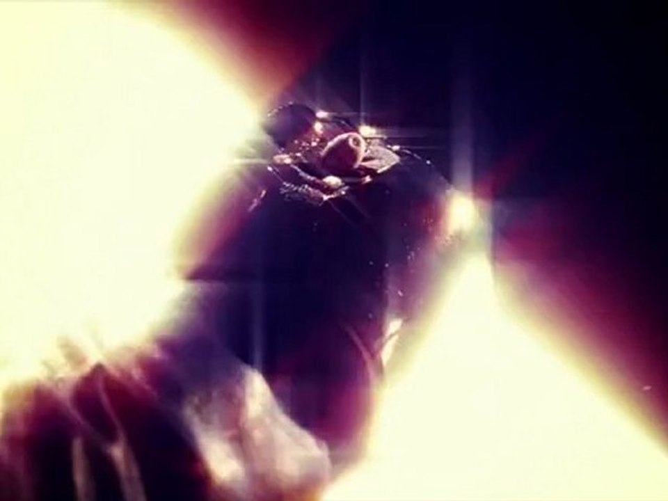 Daft Punk Wishing Nile Roders A Happy 60th Birth Day