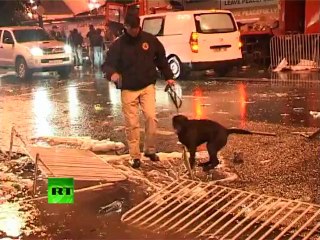 Download Video: Georgia Violence: Video of brutal police crackdown on Tbilisi protests