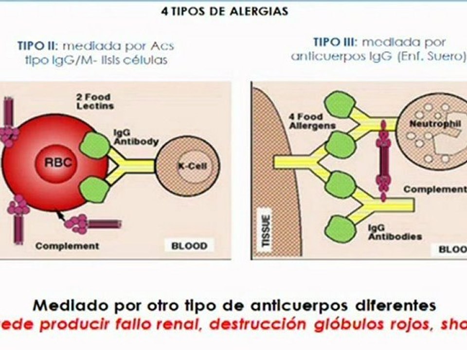2008 Infecciones y alergias, Cursos Verano