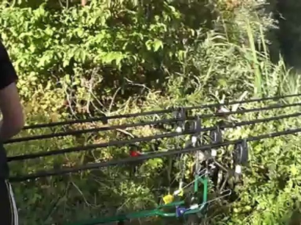 Pêche à la Carpe et à l'Esturgeon - Vidéo symphatique - Carpemapassion -  NOKILLUS 2012