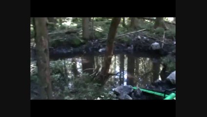 avion allemand un bf 109G