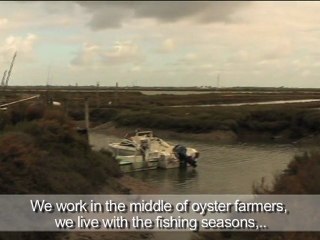 Entre Mer et Terre II