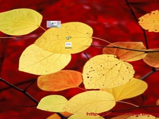 Как совладать с Тор браузером I-MMM АЛК после обновления.