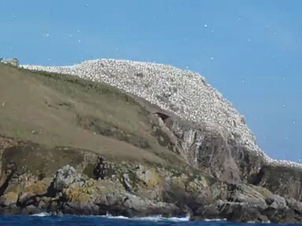Arrivée à l'île Rouzic dans l'archipel des sept îles