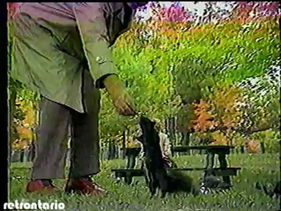 CityTV Star Trek The Next Generation Mark Dailey 1987