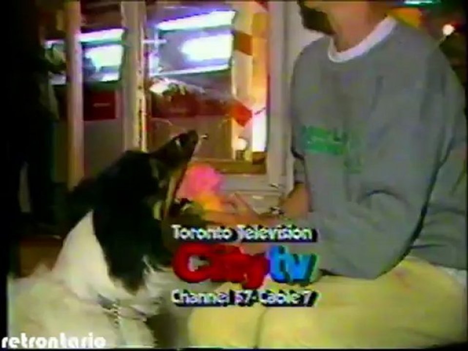 Mark Dailey was...EVERYWHERE